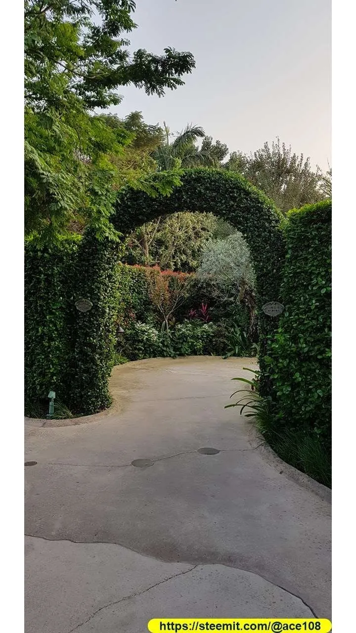 Text Description 40