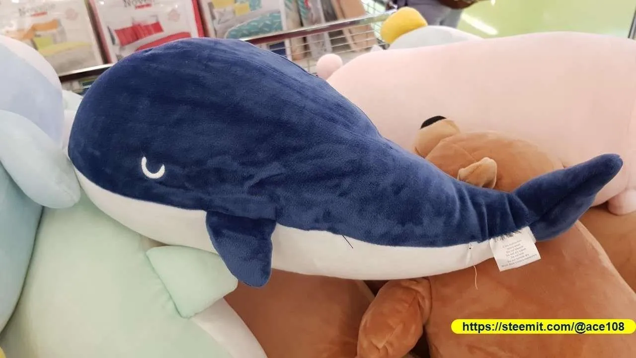 Whale