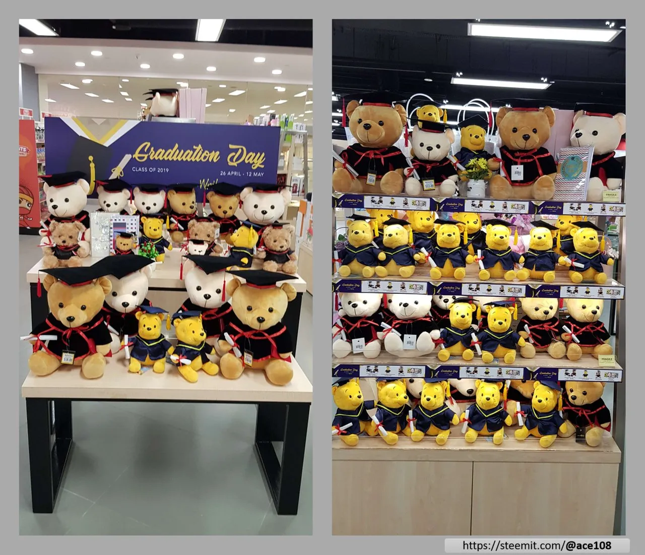 Graduation Bear