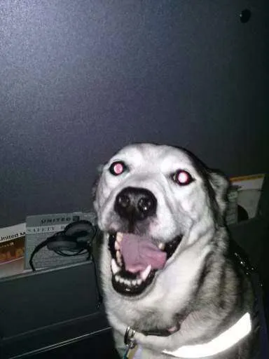 https://i.supload.com/H1livH8REW.jpg