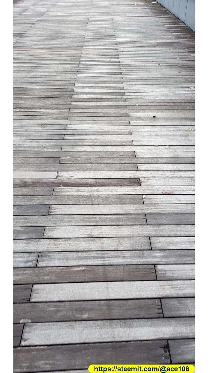 Text Description 50