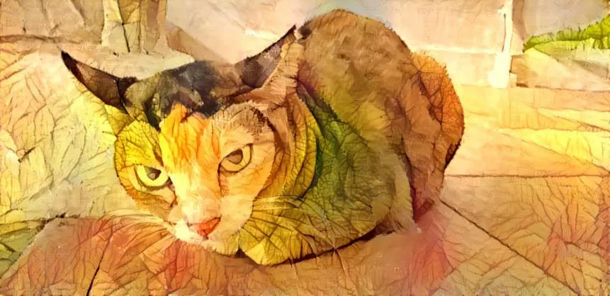 Bored cat funkyedits60