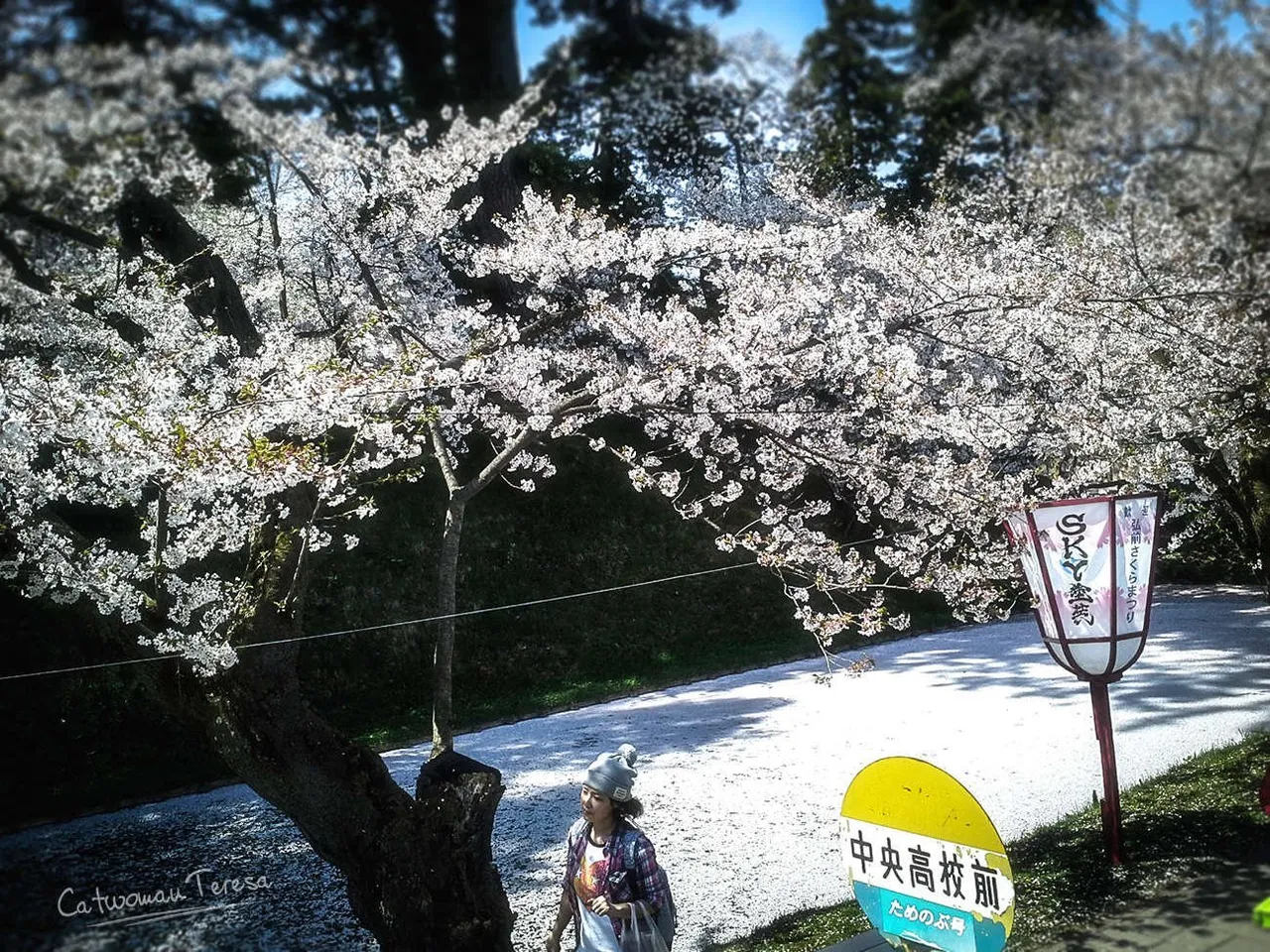 Hirasaki04