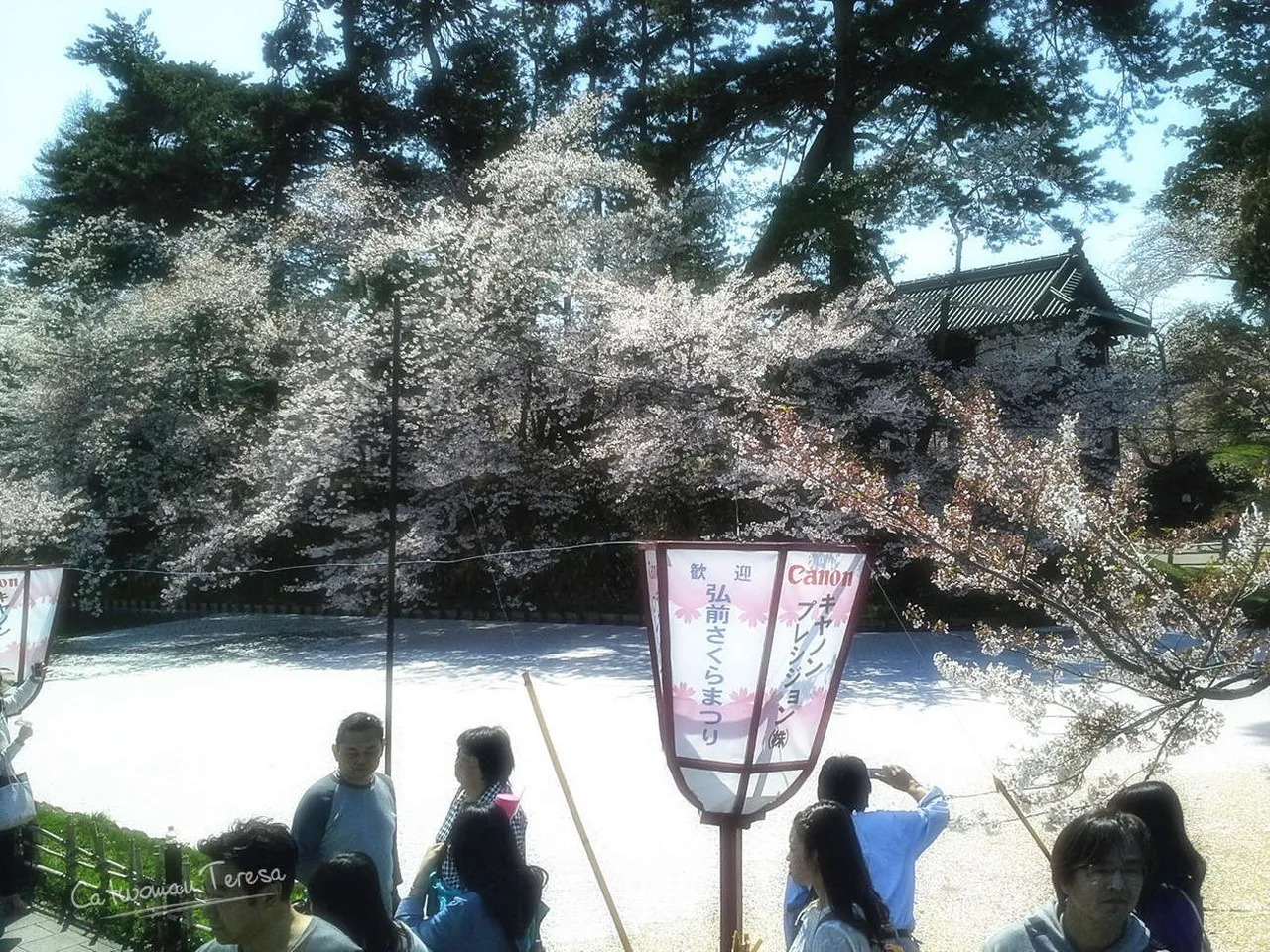 Hirasaki03