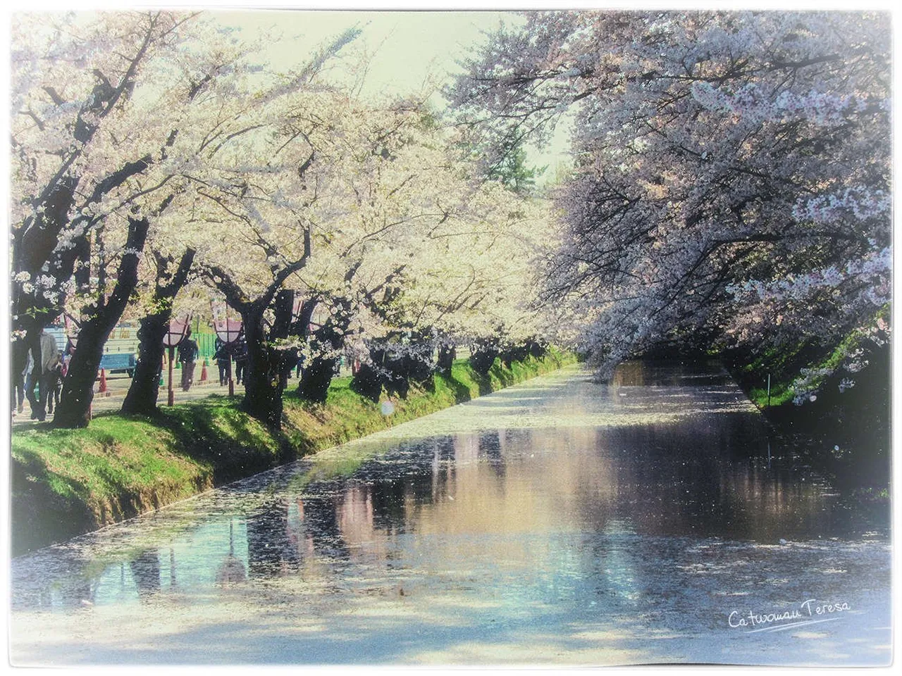 hirosaki29