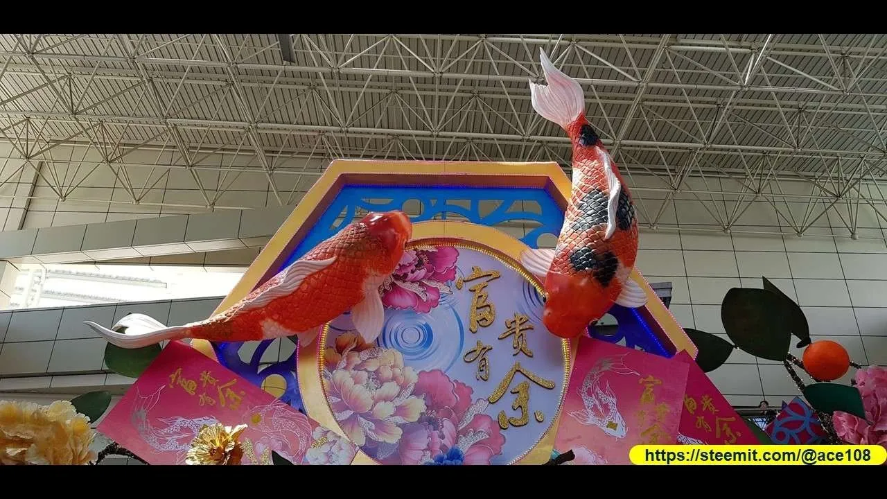 Dual fishes