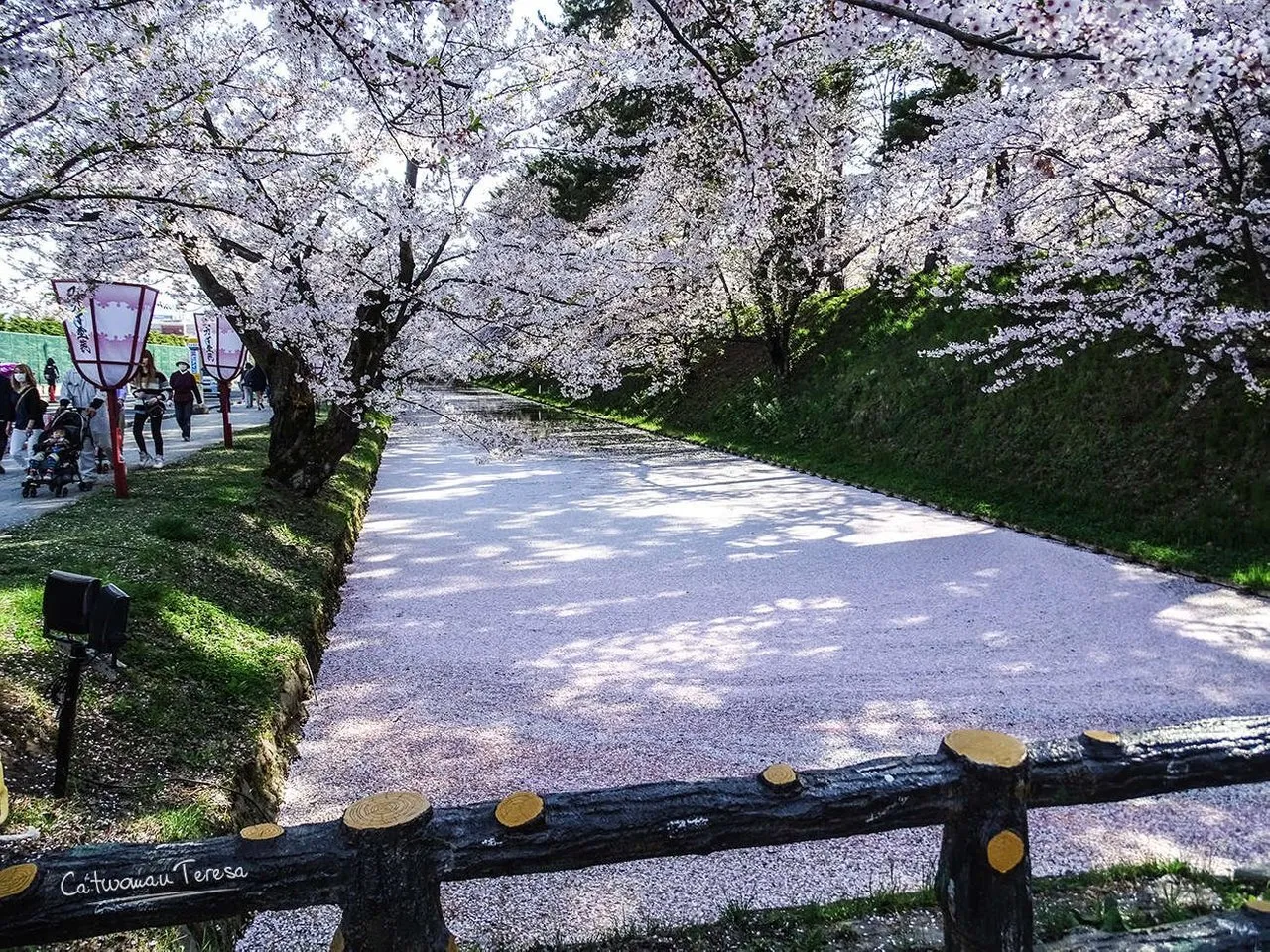 Hirasaki11
