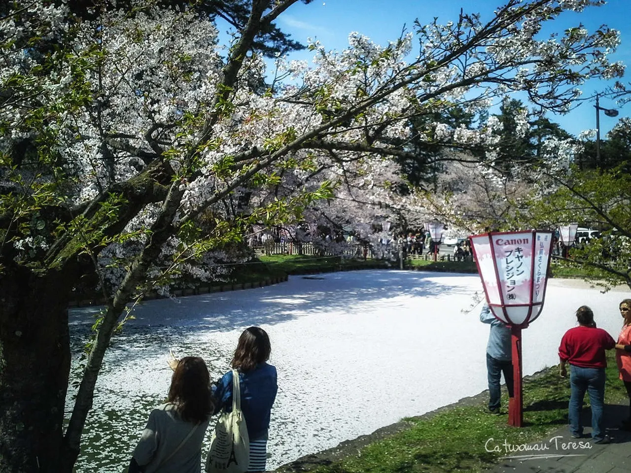 Hirosaki02