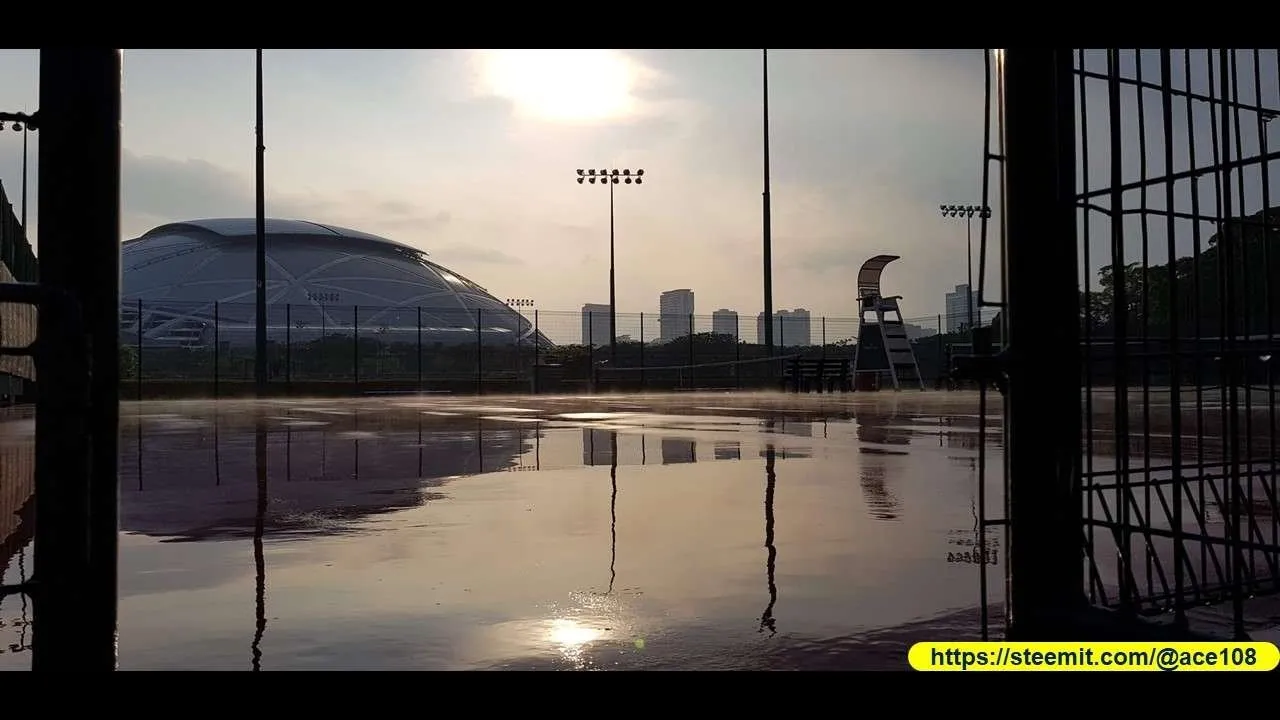 Sports Day & Night again 100