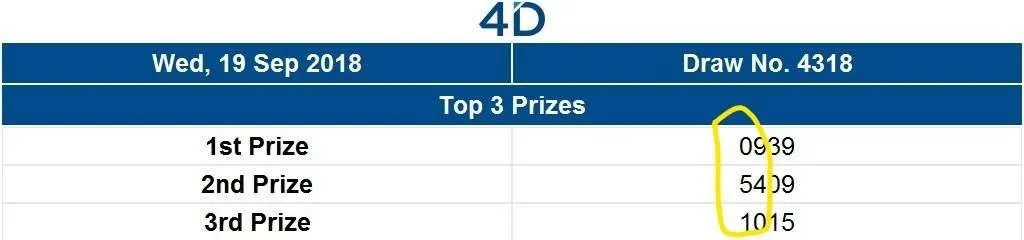 Show3D Result 20180919