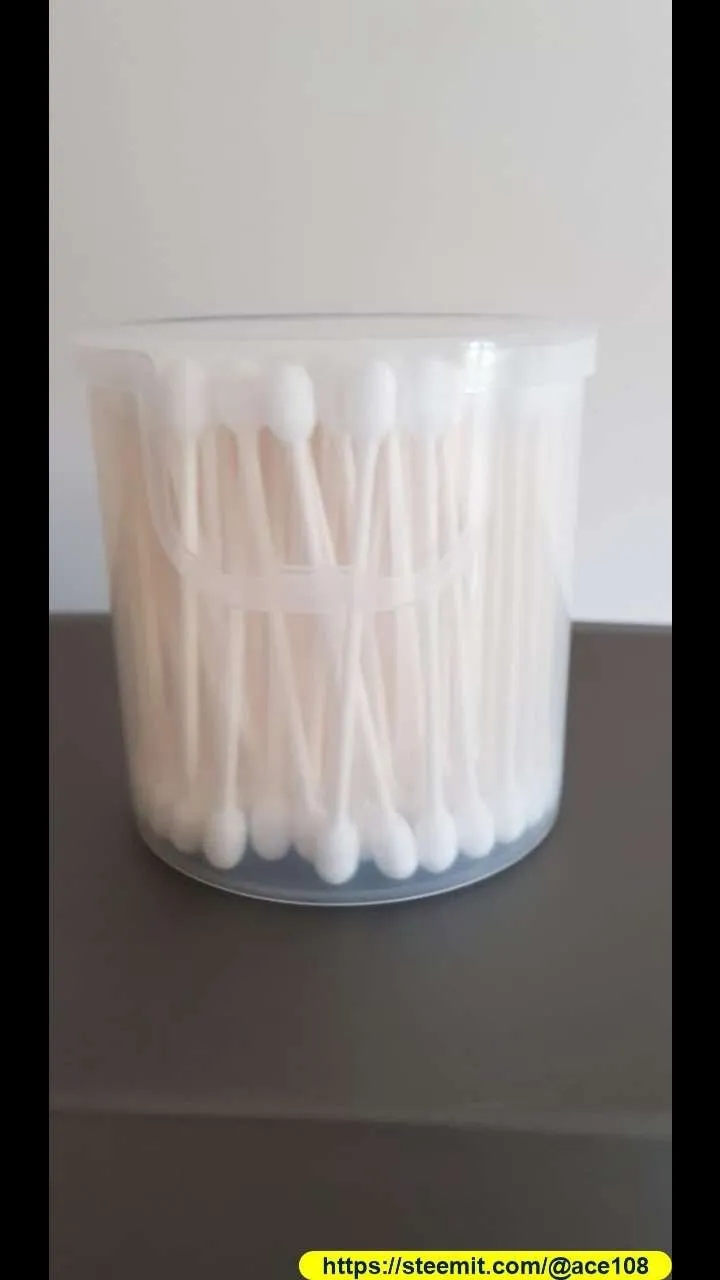 Cockroach container