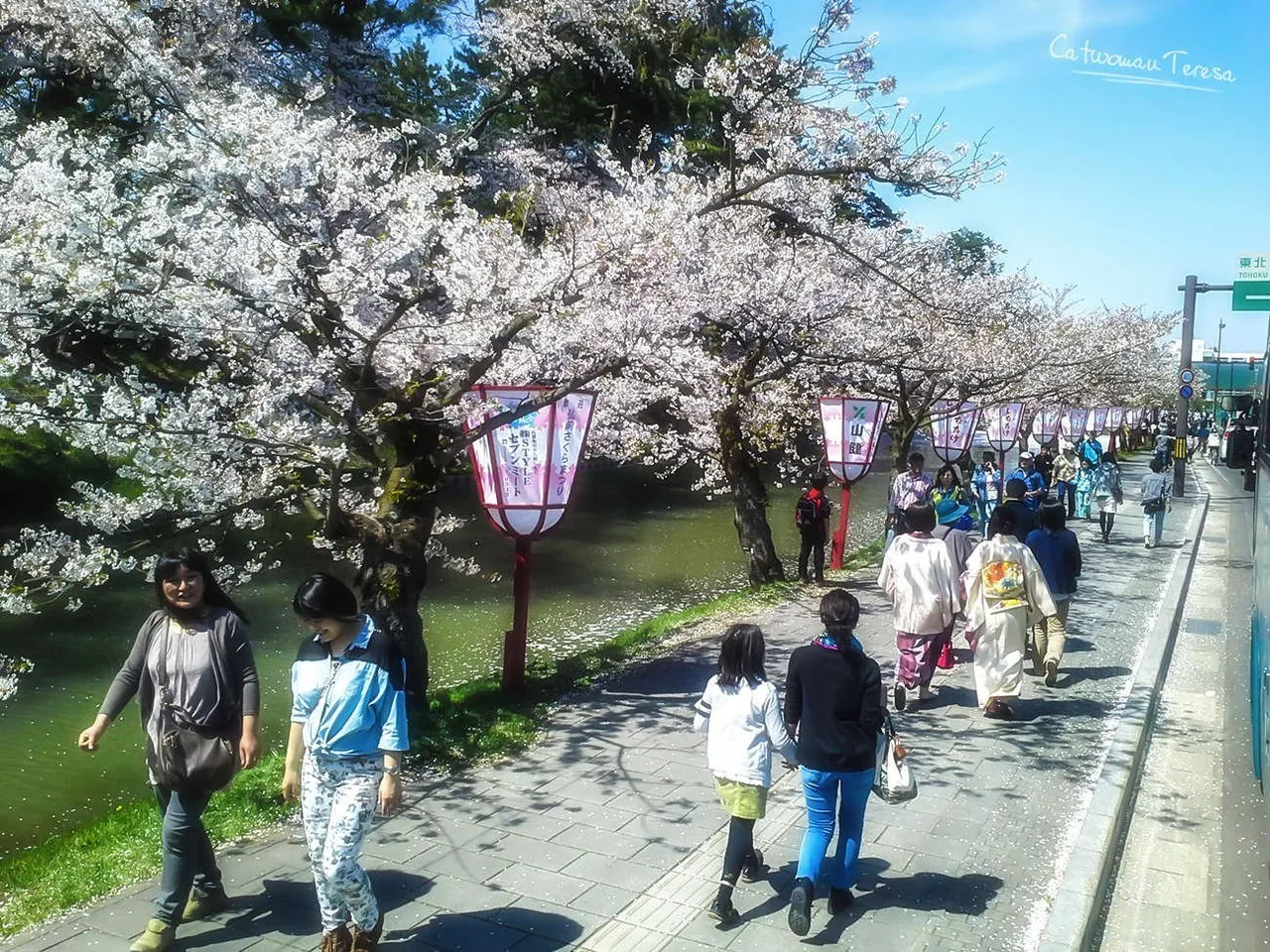 Hirasaki10