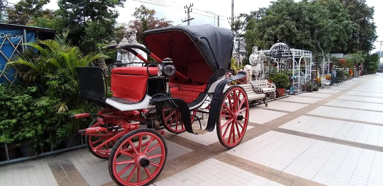 1o90e66y81.jpg