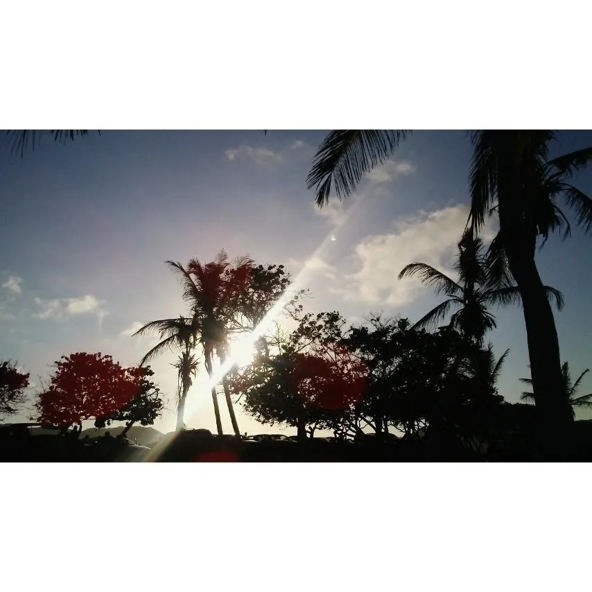 1rc3ri51ob.jpg