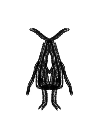 1xogyzerbo.png
