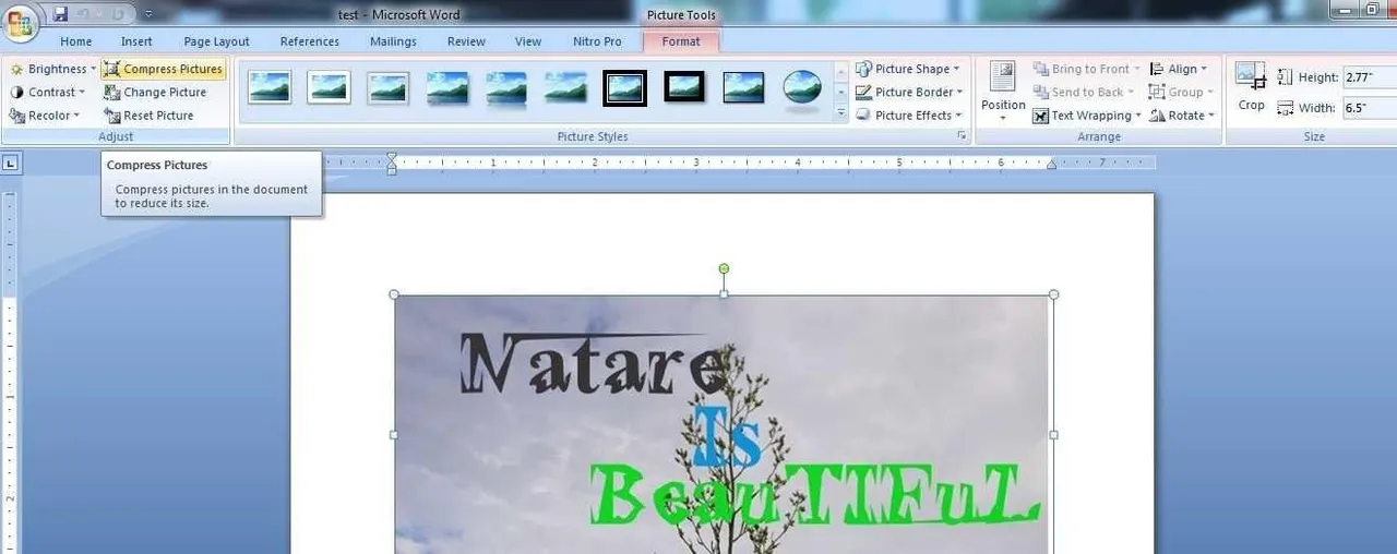 image