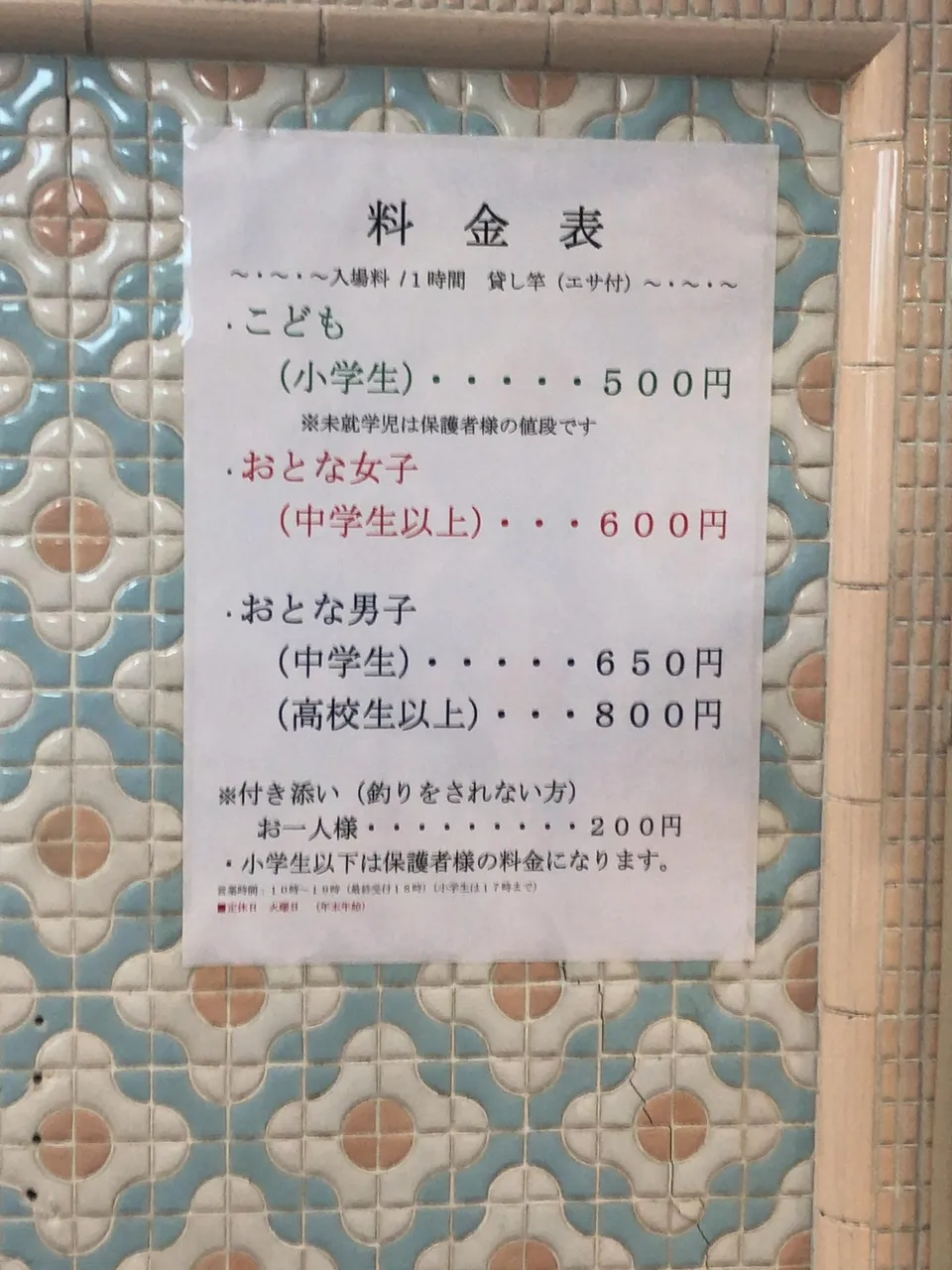 2sedjyd2kn.jpg
