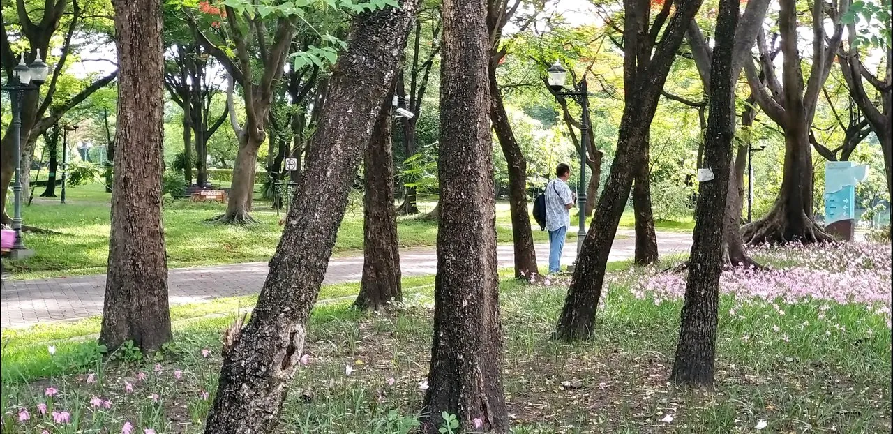 65w1g7a0kn.jpg