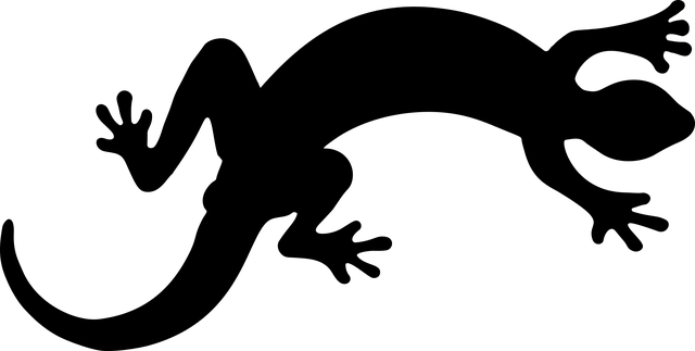 6kp9e7sal5.png