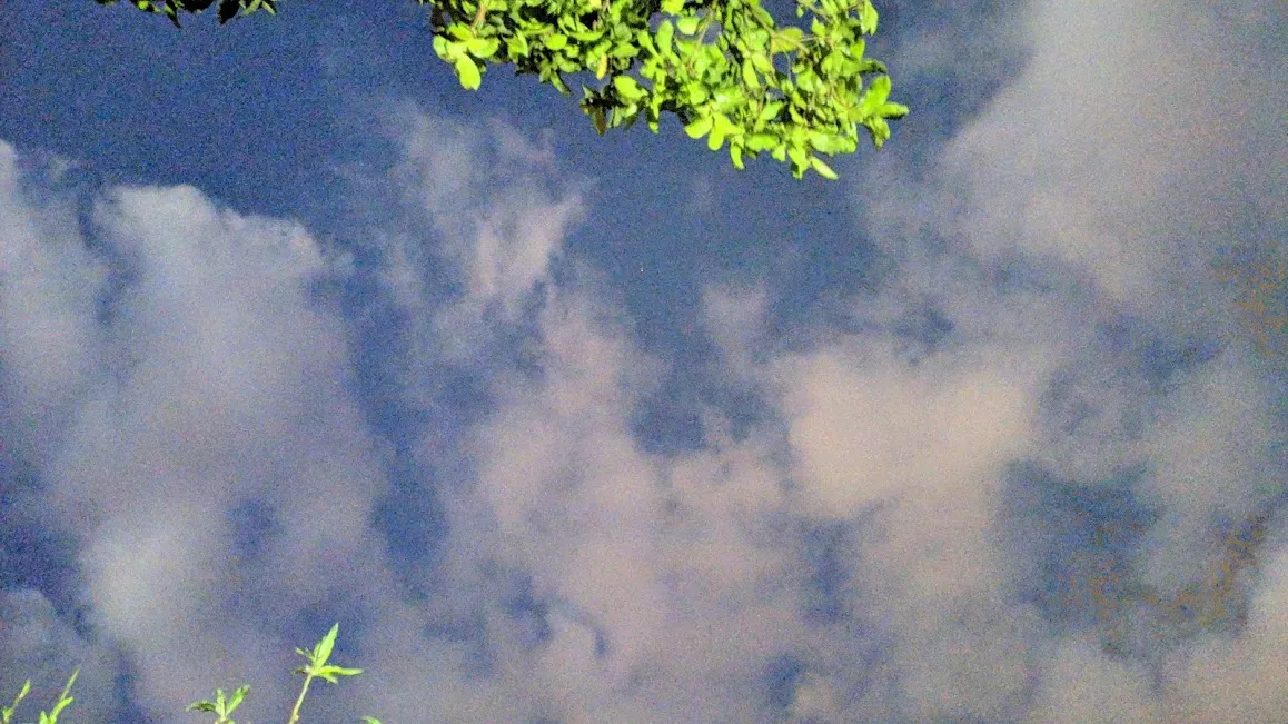 6mnd2d4l29.png
