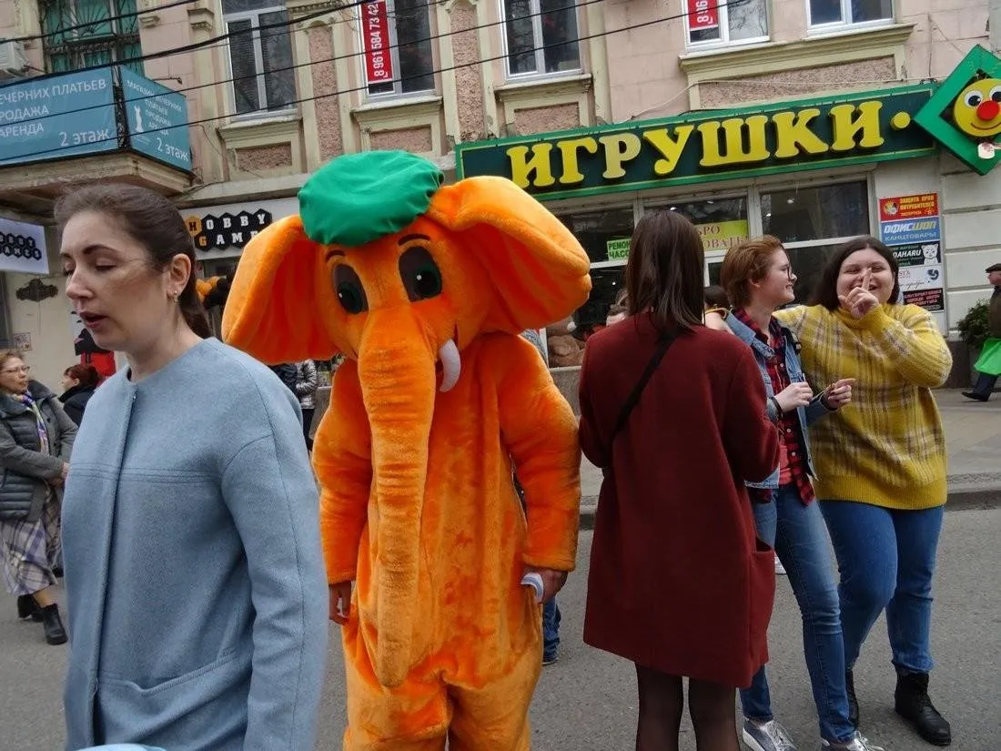 8kjf6psznv.jpg
