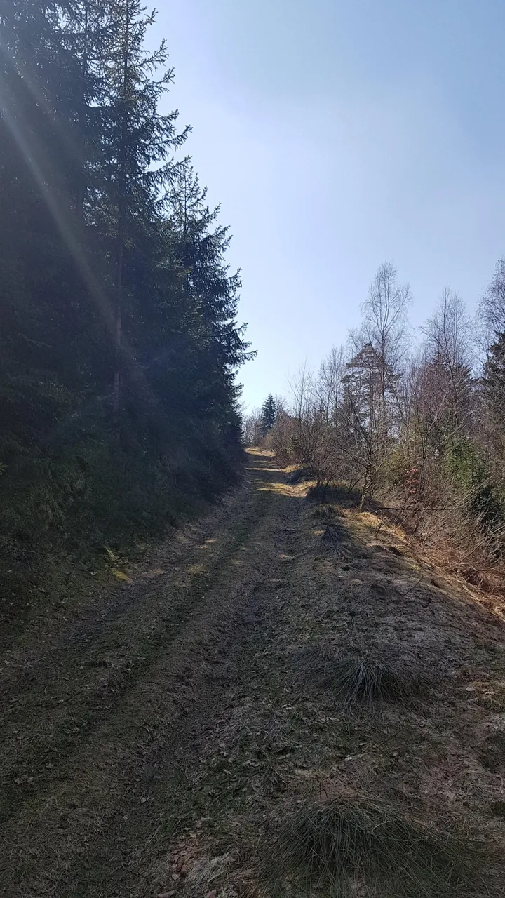 a47i71xjlq.jpg