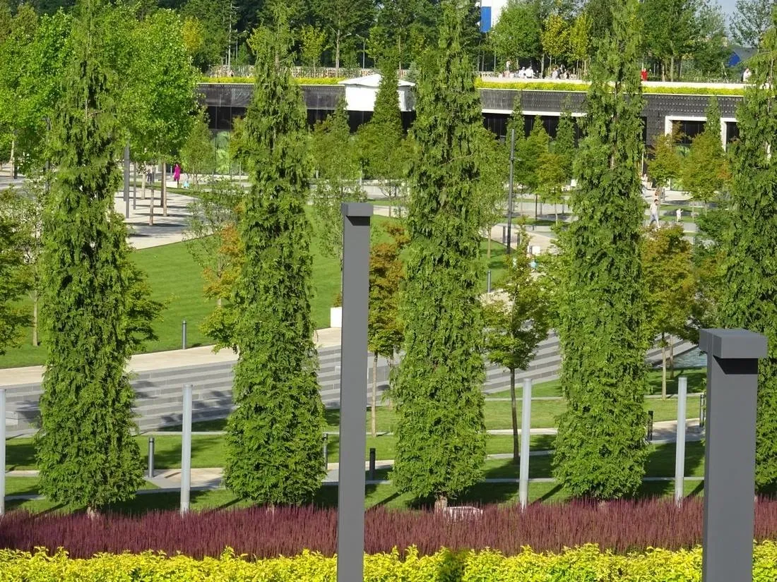 aoblm92pn4.jpg