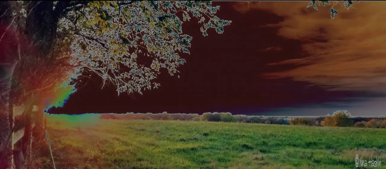 arytfy01dd.jpg