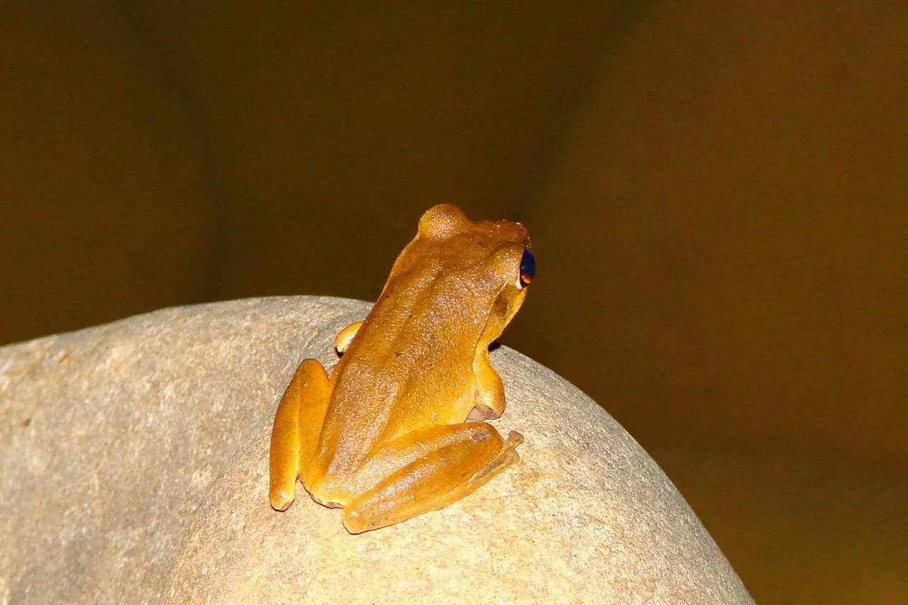 dbr7wdix7d.jpg