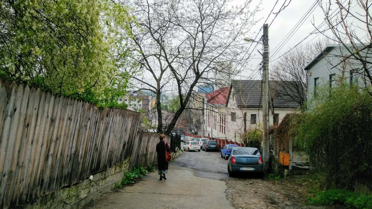 dcinyk9w93.jpg