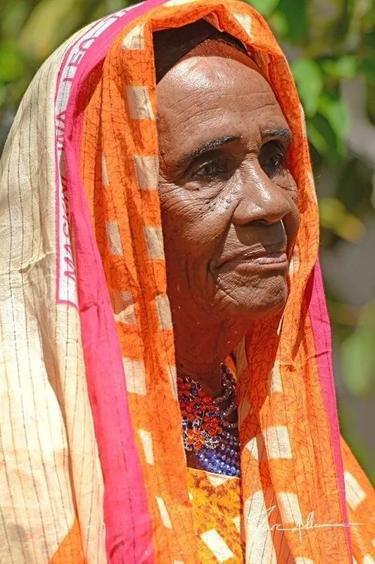 dhn491zguh.jpg