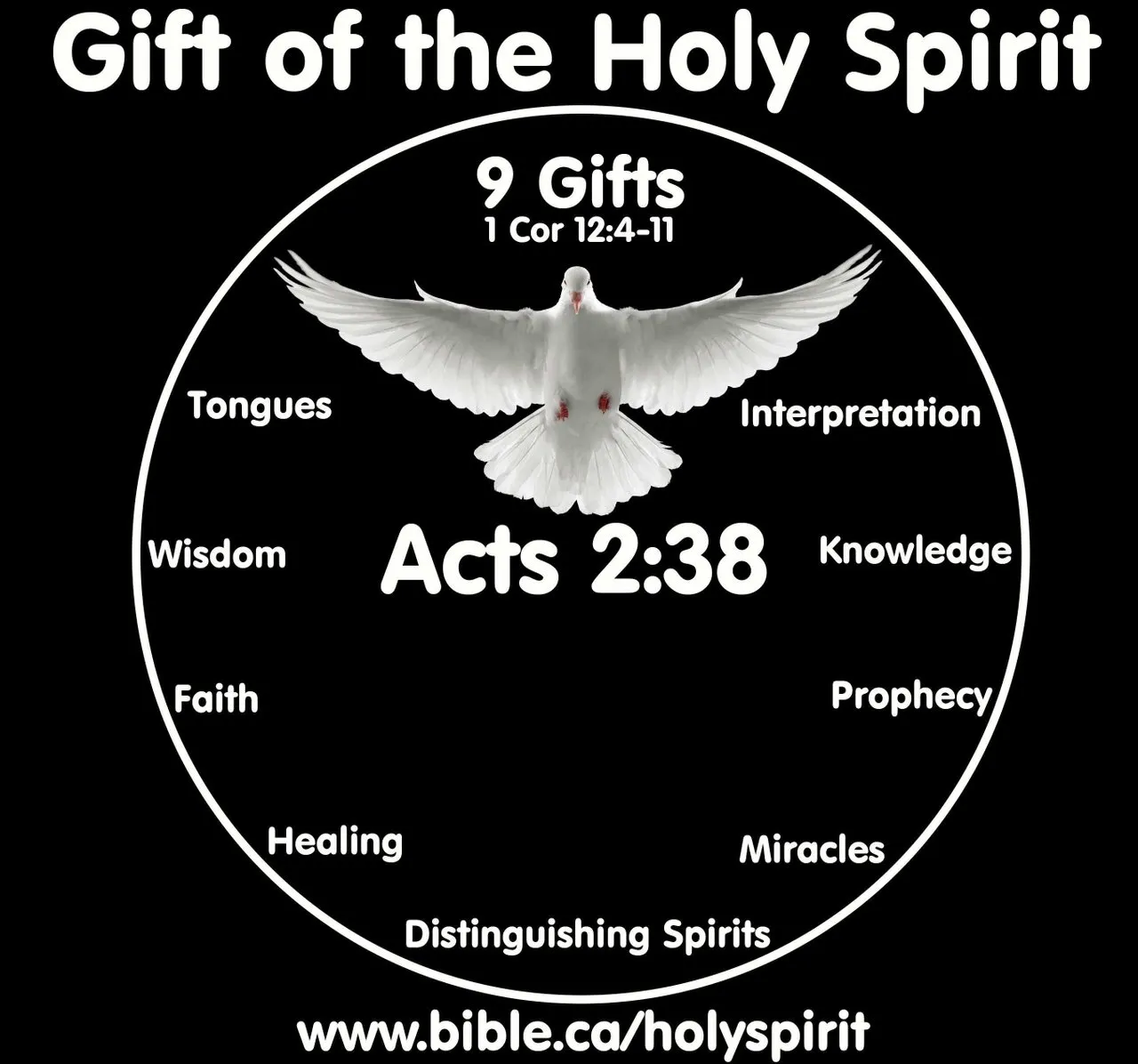 THE 9 GIFTS OF THE HOLY SPIRIT eBook : McManus, Darrell: Kindle Store -  Amazon.com