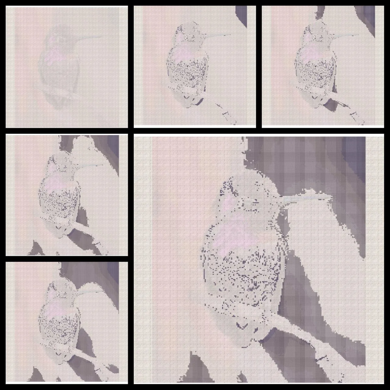 irhd98zw4i.jpg