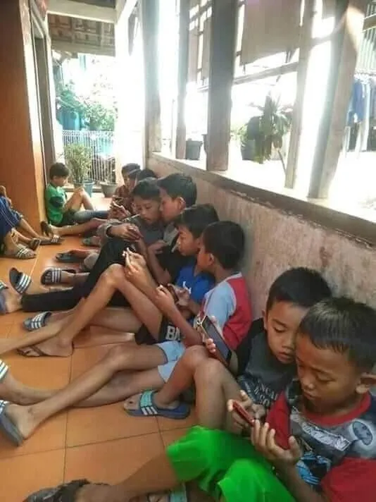 jpmulbd7ud.jpg