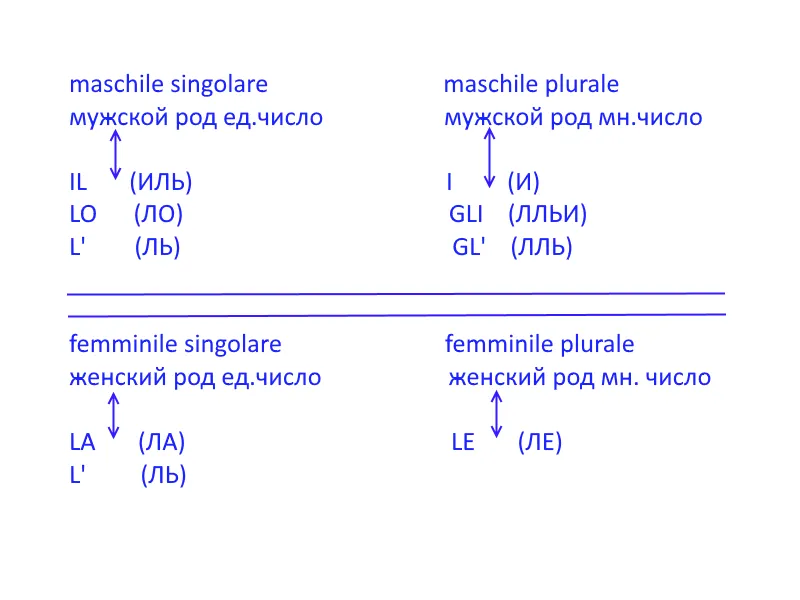 l6irypc9q6.png