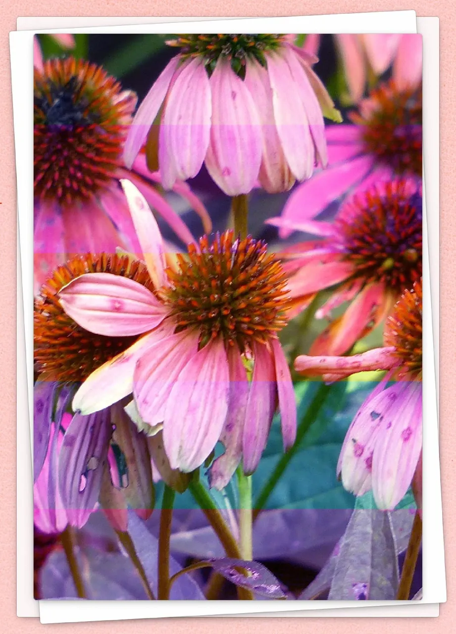 m677s5q7s5.jpg