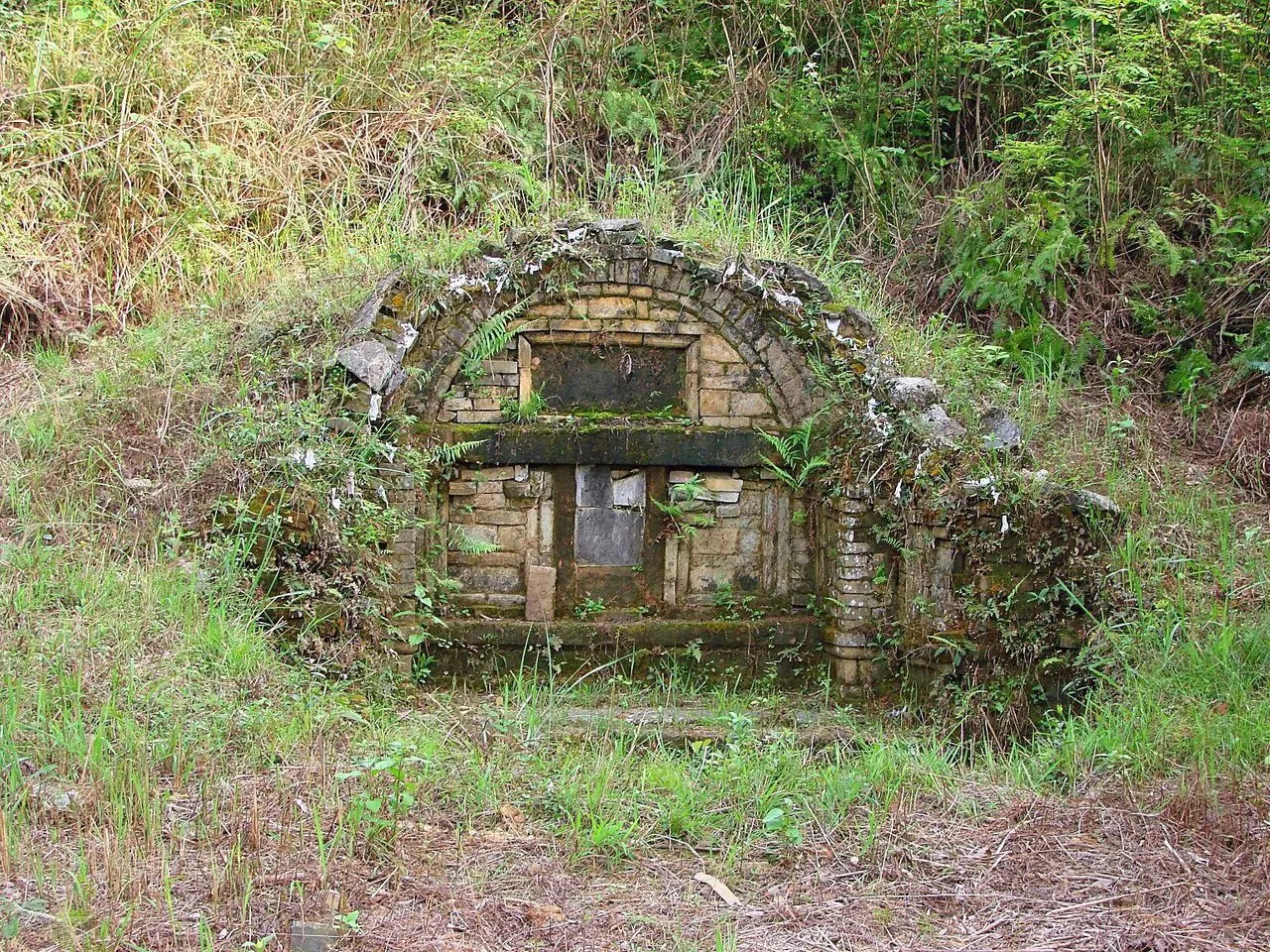 p38fqv7l4l.jpg