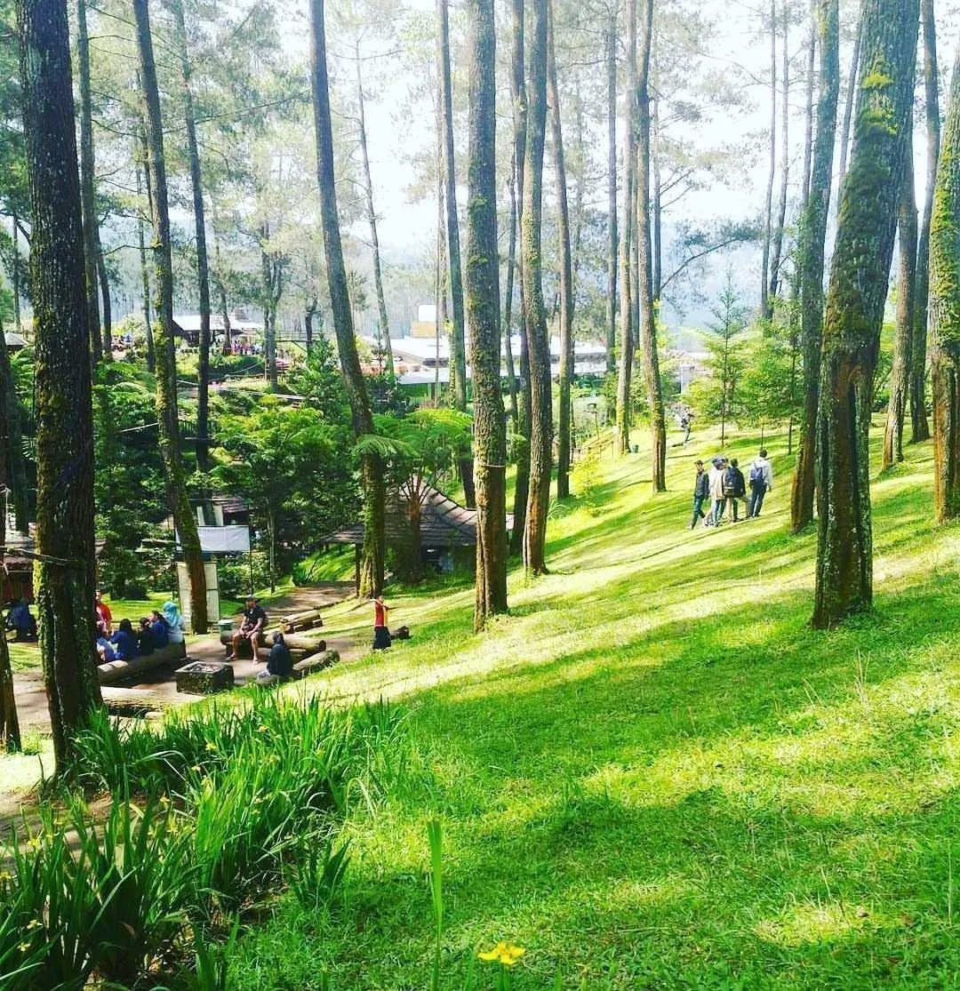 Wisata Grafika Cikole, Bandung Indonesia