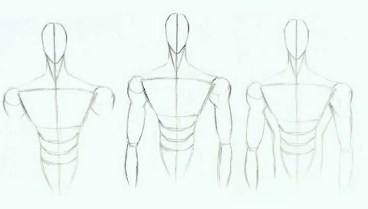 anime boy body structure