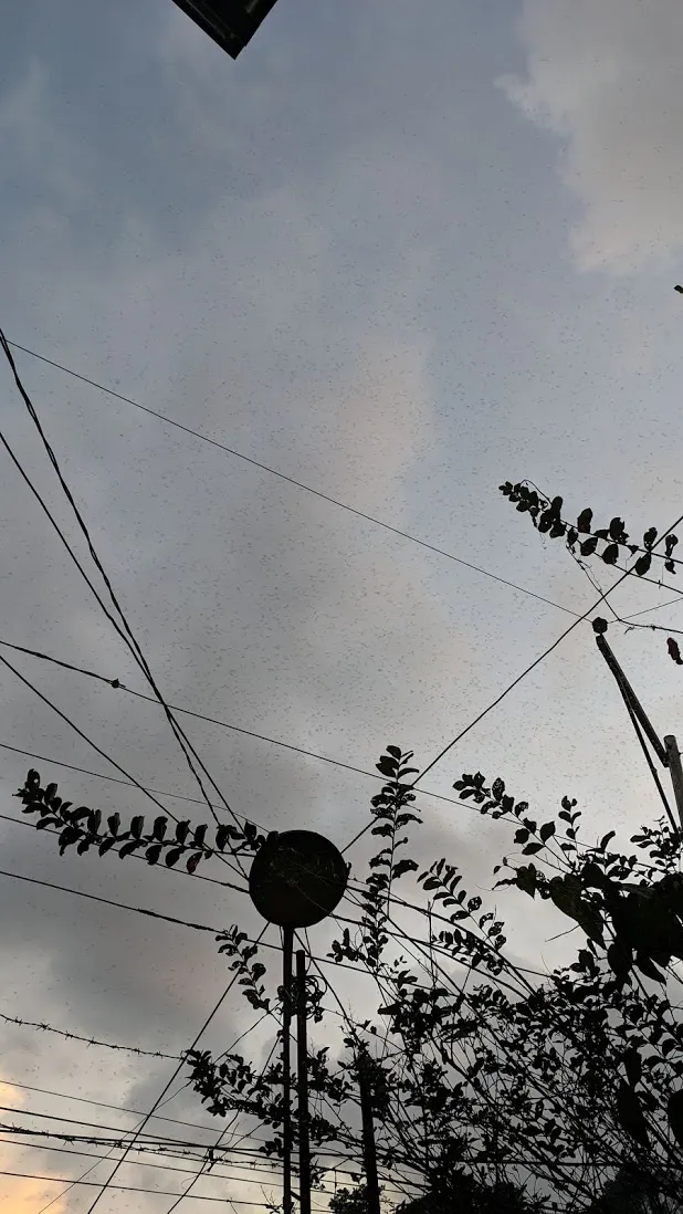 qrn3x981nn.png