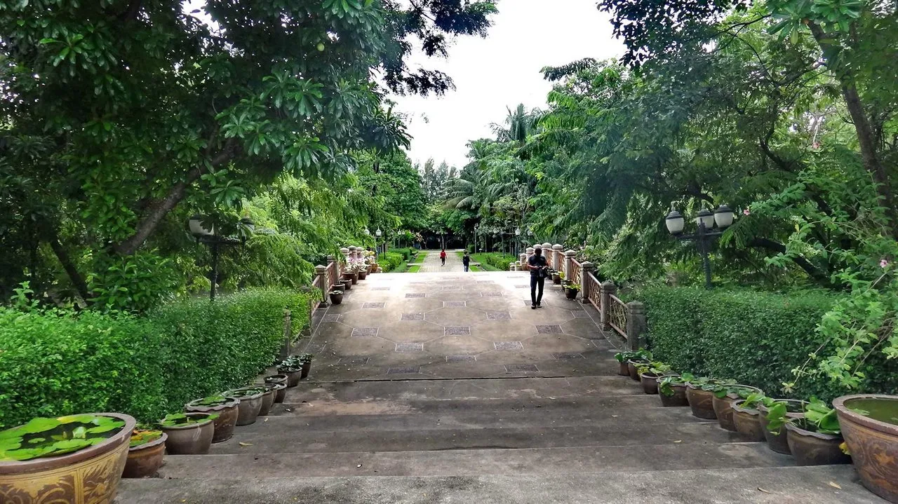 qt6gtnuj78.jpg