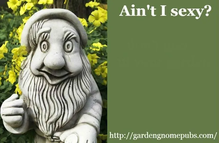 garden gnome publications meme contest