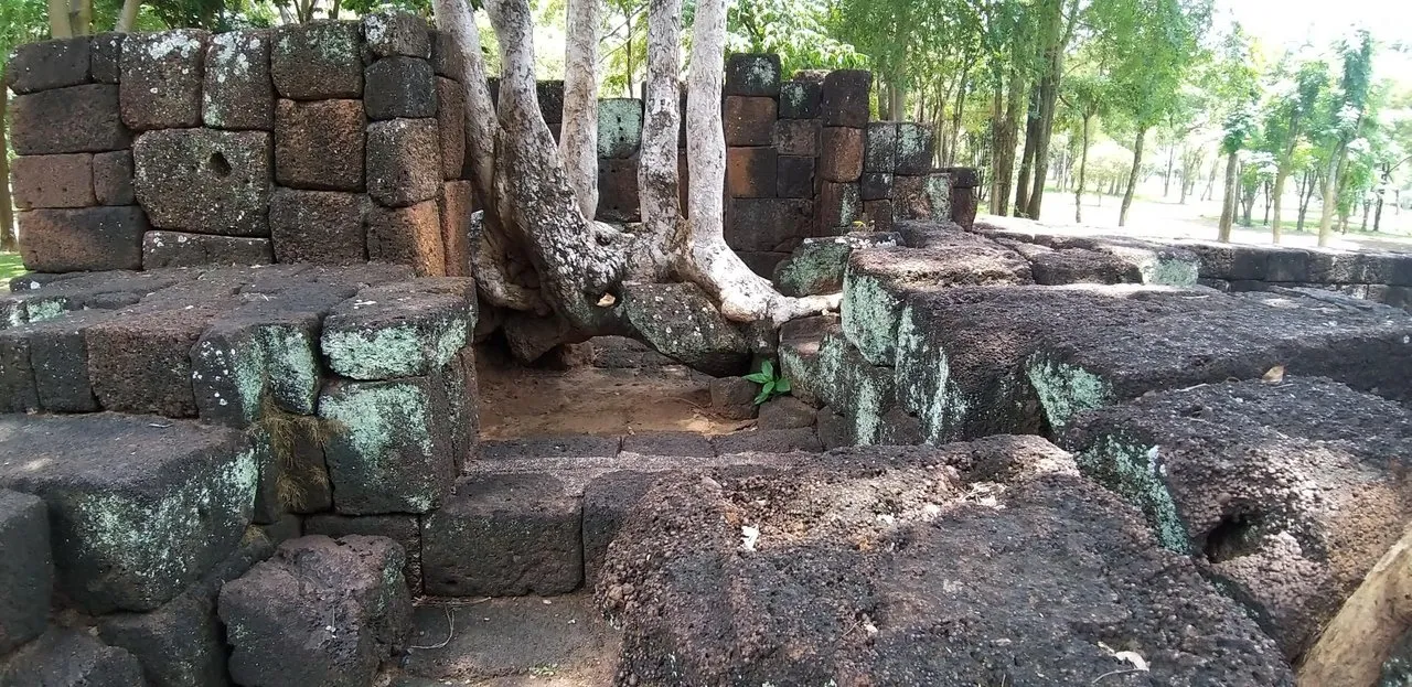 v41wwvhar5.jpg
