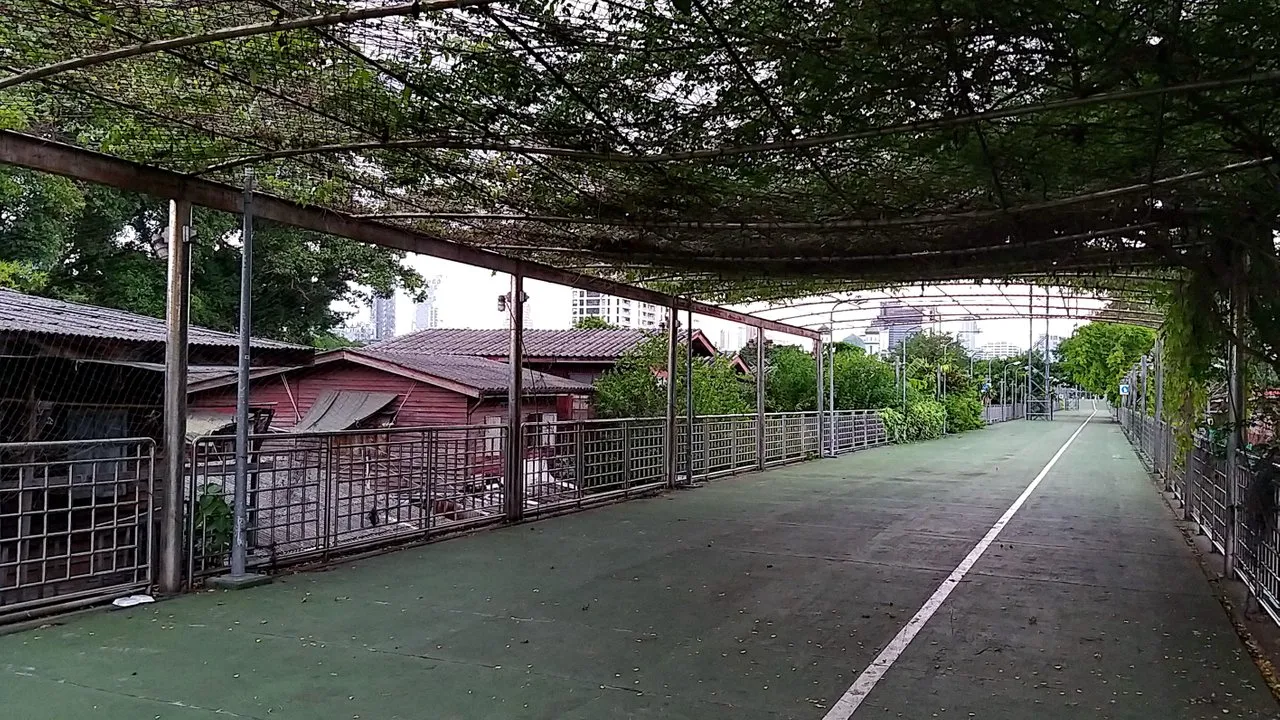 y8jxhws5j4.jpg