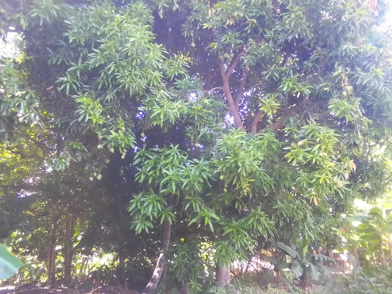 uO5dsPEvMN2EVgYU_IMG_20241117_120848_HDR.webp