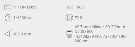 Screen Shot 2019-10-21 at 11.25.02 AM.png