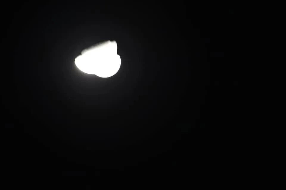 81193001_2659961400706431_5726657363805470720_n.jpg