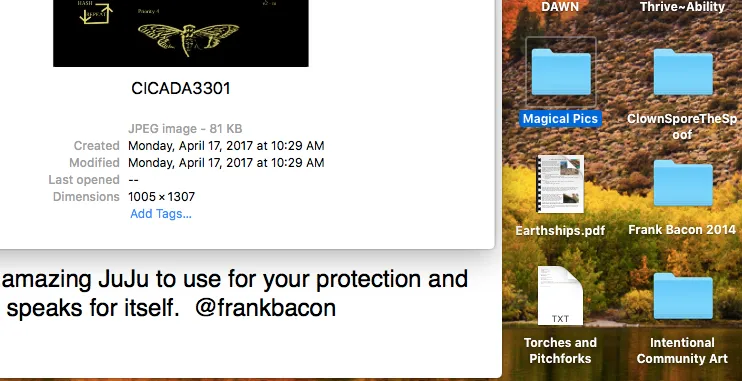 Screen Shot 2018-08-03 at 11.13.08 PM.png