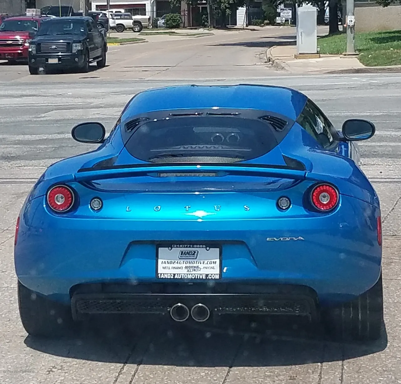 steemit-enternamehere-dfw-mid_august-blue-lotus.jpg