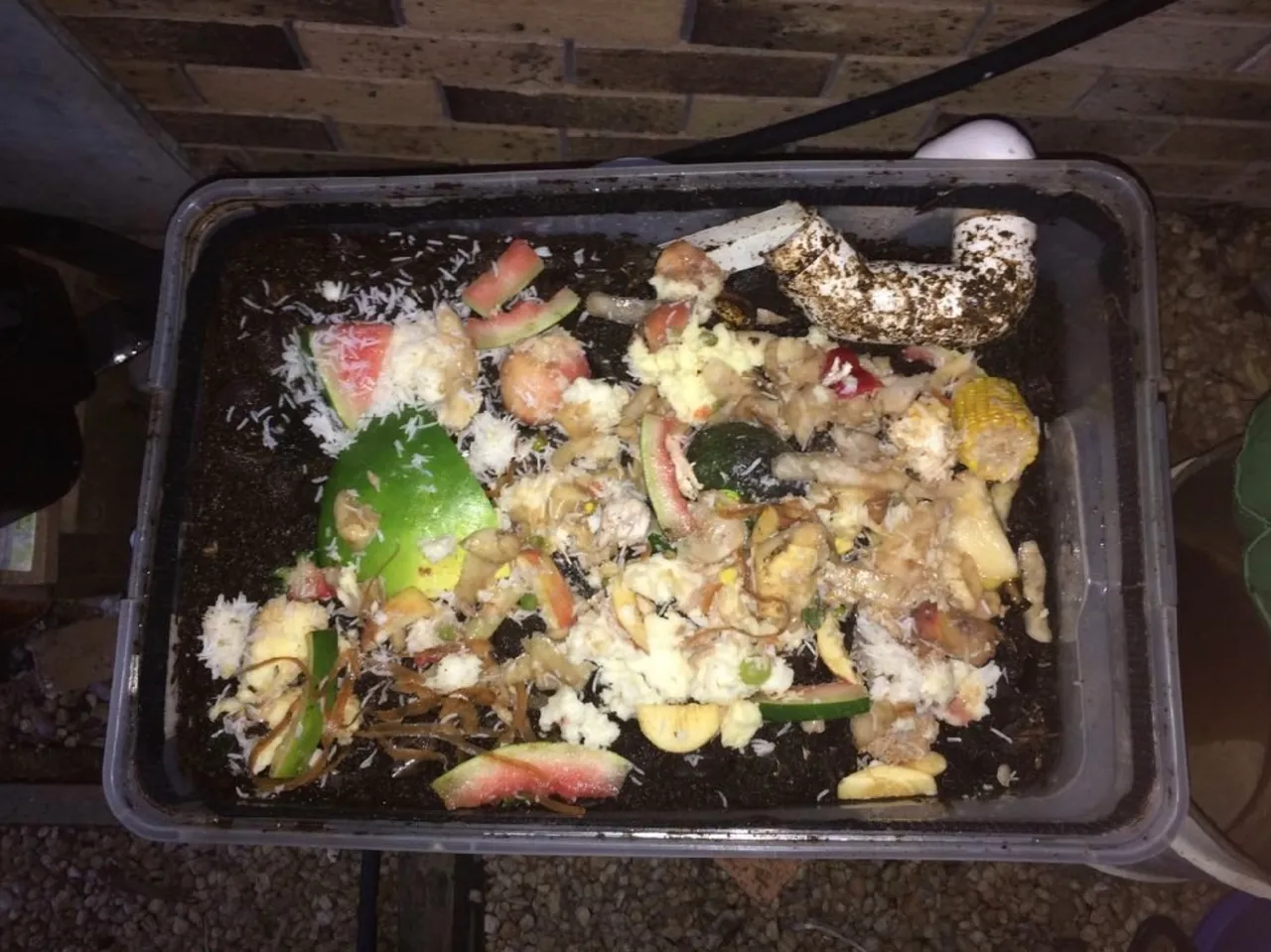 Composting with BSFL